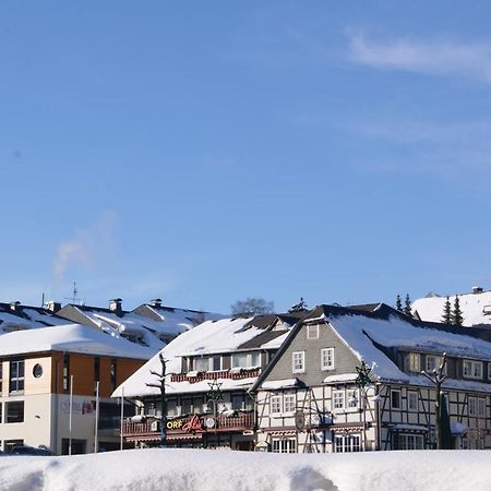 Gaestehaus Dorf-Alm Willingen  Zewnętrze zdjęcie